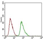 DNM1L Antibody in Flow Cytometry (Flow)