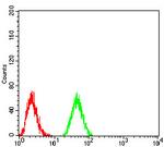 DNMT3B Antibody in Flow Cytometry (Flow)