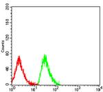 EDA2R Antibody in Flow Cytometry (Flow)