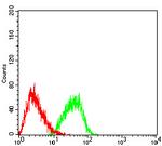 EHMT2 Antibody in Flow Cytometry (Flow)