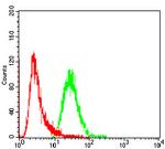 FGFR3 Antibody in Flow Cytometry (Flow)