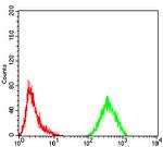 FOXM1 Antibody in Flow Cytometry (Flow)