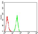 HDAC4 Antibody in Flow Cytometry (Flow)