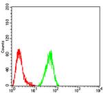 IDH2 Antibody in Flow Cytometry (Flow)