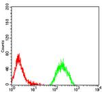 PCAF Antibody in Flow Cytometry (Flow)