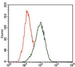 EKLF Antibody in Flow Cytometry (Flow)