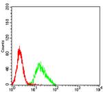 LILRA2 Antibody in Flow Cytometry (Flow)