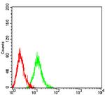 LILRB5 Antibody in Flow Cytometry (Flow)