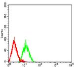 LRP3 Antibody in Flow Cytometry (Flow)