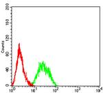 LRP6 Antibody in Flow Cytometry (Flow)