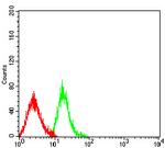 LTBR Antibody in Flow Cytometry (Flow)