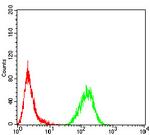 MECP2 Antibody in Flow Cytometry (Flow)