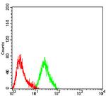 MLH1 Antibody in Flow Cytometry (Flow)