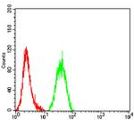 NeuroD1 Antibody in Flow Cytometry (Flow)