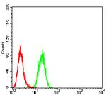 NOX4 Antibody in Flow Cytometry (Flow)