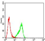 PAX2 Antibody in Flow Cytometry (Flow)