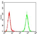 PDGFRA Antibody in Flow Cytometry (Flow)