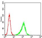 PLCG2 Antibody in Flow Cytometry (Flow)