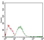 ADFP Antibody in Flow Cytometry (Flow)