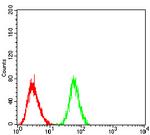 Blimp-1 Antibody in Flow Cytometry (Flow)