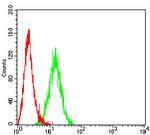 PSAP Antibody in Flow Cytometry (Flow)