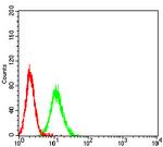 PSG1 Antibody in Flow Cytometry (Flow)