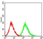 PTP1B Antibody in Flow Cytometry (Flow)