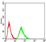 eRF1 Antibody in Flow Cytometry (Flow)