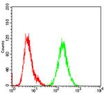 SHC Antibody in Flow Cytometry (Flow)