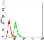 SIRT3 Antibody in Flow Cytometry (Flow)