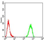 Tyrosine Hydroxylase Antibody in Flow Cytometry (Flow)