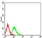 TROY Antibody in Flow Cytometry (Flow)