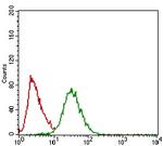 TWIST1 Antibody in Flow Cytometry (Flow)