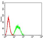 UFD1L Antibody in Flow Cytometry (Flow)