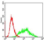 Villin Antibody in Flow Cytometry (Flow)