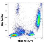 CD16 Antibody in Flow Cytometry (Flow)