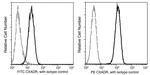 CAR Antibody in Flow Cytometry (Flow)