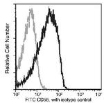 CD55 Antibody in Flow Cytometry (Flow)