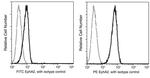 EphA2 Antibody in Flow Cytometry (Flow)