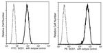 SOD1 Antibody in Flow Cytometry (Flow)