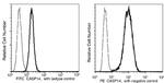 Caspase 14 Antibody in Flow Cytometry (Flow)