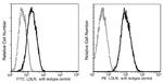 LDLR Antibody in Flow Cytometry (Flow)