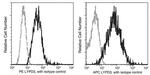 LYPD3 Antibody in Flow Cytometry (Flow)