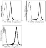 LIMP2 Antibody in Flow Cytometry (Flow)