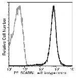 LIMP2 Antibody in Flow Cytometry (Flow)