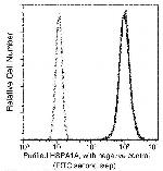 HSP70 Antibody in Flow Cytometry (Flow)