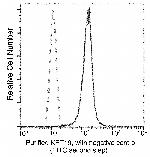 Cytokeratin 19 Antibody in Flow Cytometry (Flow)