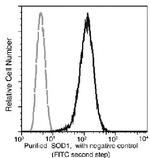 SOD1 Antibody in Flow Cytometry (Flow)