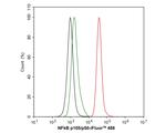 NFkB p50/p105 Antibody in Flow Cytometry (Flow)