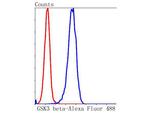 GSK3B Antibody in Flow Cytometry (Flow)